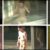 咲乱美女温泉－覗かれた露天風呂の真向裸体－ハイビジョン Vol81