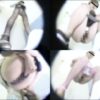 和式公衆トイレの便器内から放尿マンコを丸見え盗撮した動画